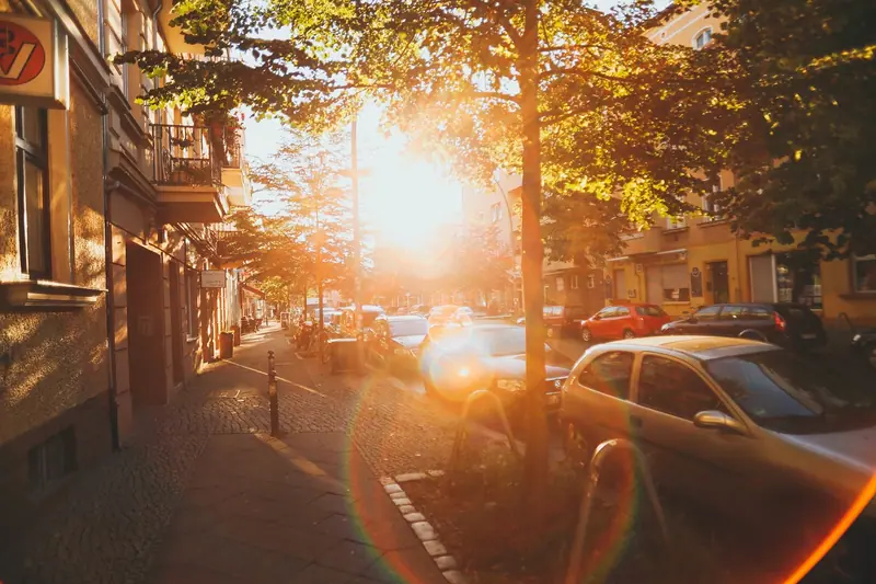 Rua arborizada com carros estacionados e prédios baixos, sob a luz do sol