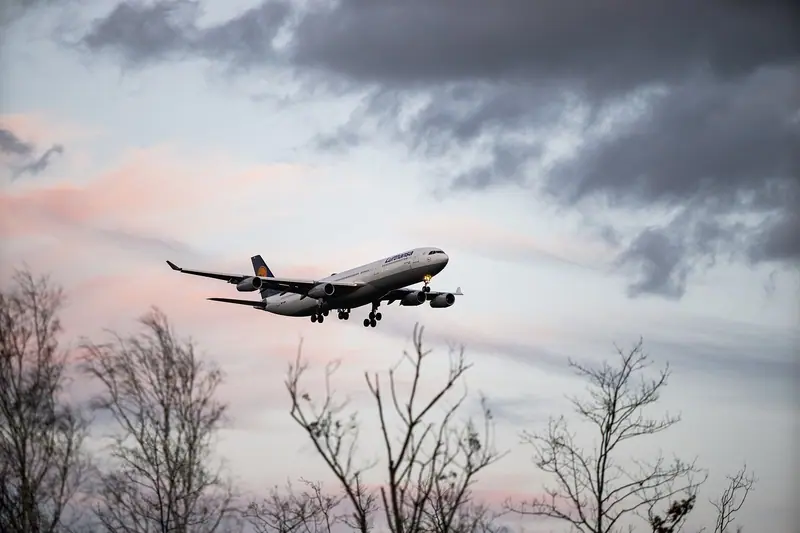 Avião de passageiros voando baixo sobre galhos de árvores sem folhas, num céu de fim de tarde
