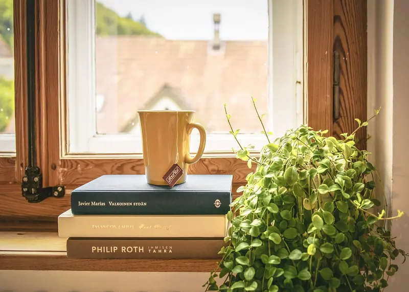 Caneca amarela sobre livros empilhados no parapeito de uma janela de madeira, ao lado de uma planta