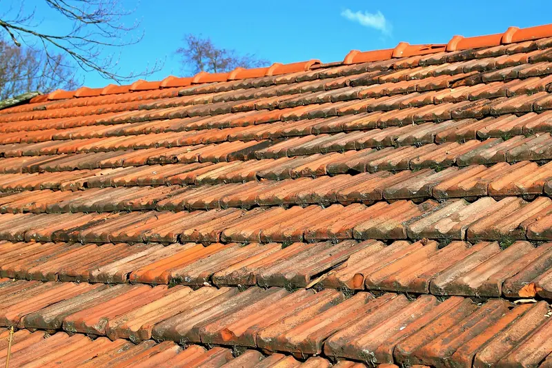 Telhado de telhas de barro alaranjadas visto de perto, com galhos e céu azul ao fundo