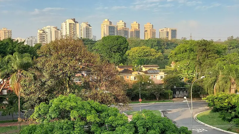 Copas de árvores e uma rua tranquila em primeiro plano, com prédios residenciais altos ao fundo