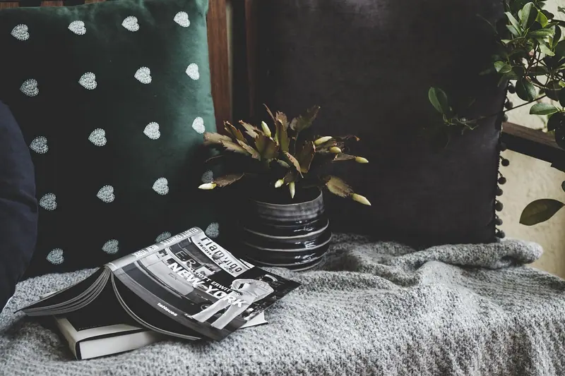 Almofadas, manta de tricô, revista e uma planta pequena sobre o sofá, em luz suave