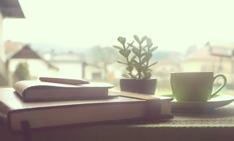 Caderno, caneta, planta pequena e xícara sobre uma mesa junto à janela clara