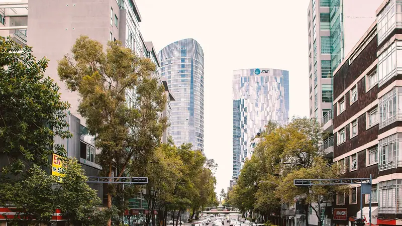 Avenida arborizada com carros e torres modernas de vidro ao fundo, num dia claro