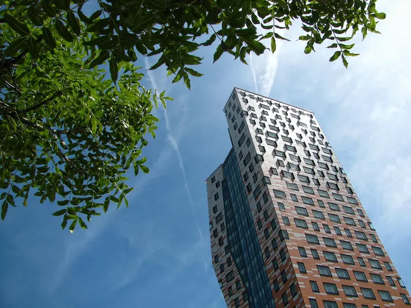 Torre residencial alta vista de baixo, entre galhos de árvore, contra o céu azul