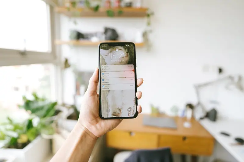 Mão segurando um celular dentro de casa, com plantas e uma janela clara ao fundo