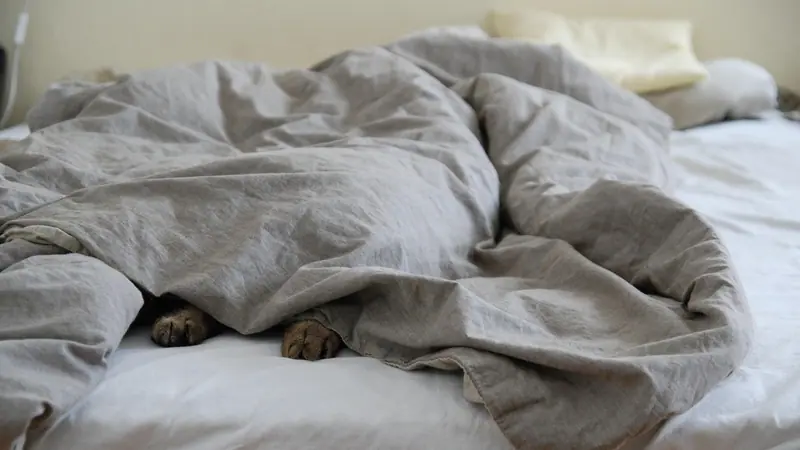 Cama com edredom cinza amarrotado sobre o colchão, num quarto claro