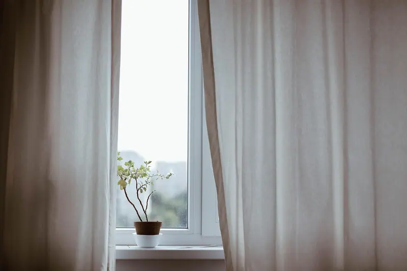 Cortinas claras abertas junto a uma janela, com um vaso de planta no parapeito