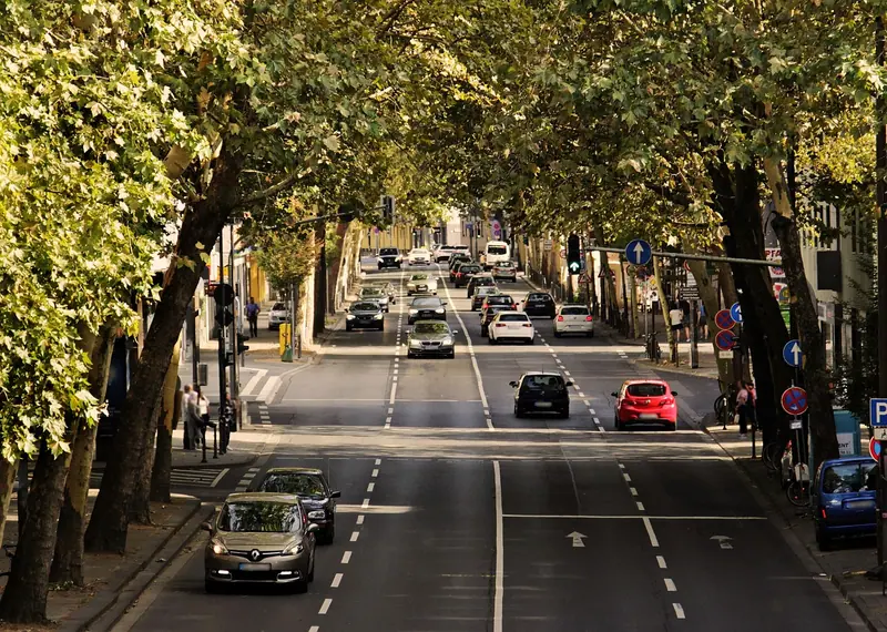 Avenida larga ladeada por árvores, com carros nas duas mãos e prédios ao fundo