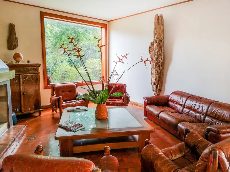 Sala com piso de madeira, sofás de couro e janela grande com vista para árvores