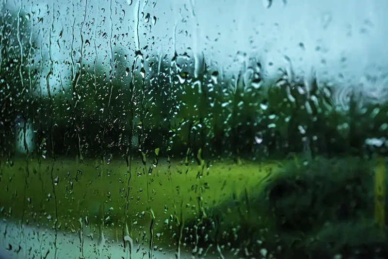 Gotas de chuva escorrendo pelo vidro de uma janela, com árvores e grama desfocadas do lado de fora