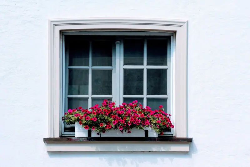 Janela de caixilho branco numa parede clara, com uma jardineira de flores vermelhas no peitoril