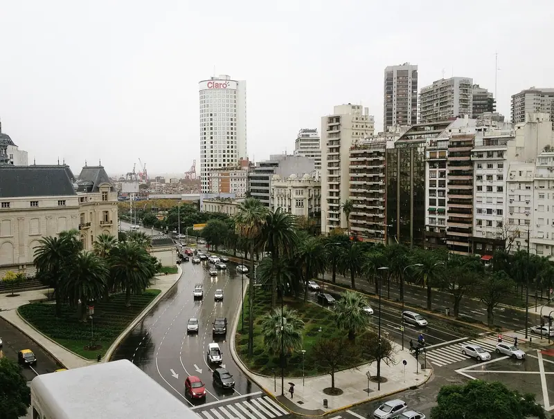 Avenida com carros e palmeiras entre prédios residenciais altos, vista do alto