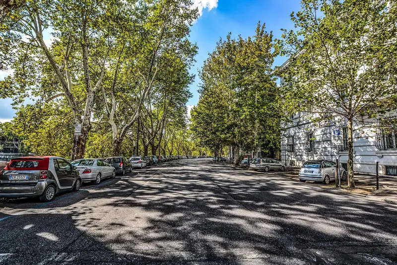 Rua residencial arborizada, com carros estacionados e a sombra das árvores no asfalto