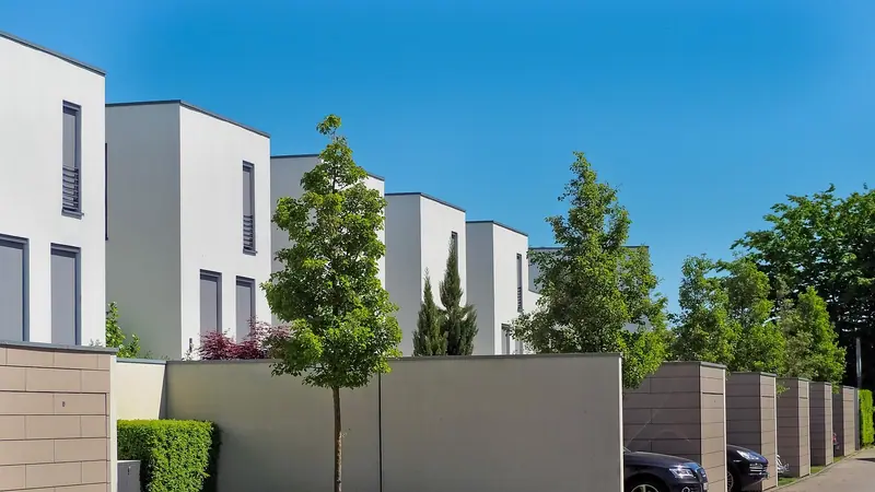 Rua de casas modernas com muros altos de concreto na frente, árvores e carros estacionados