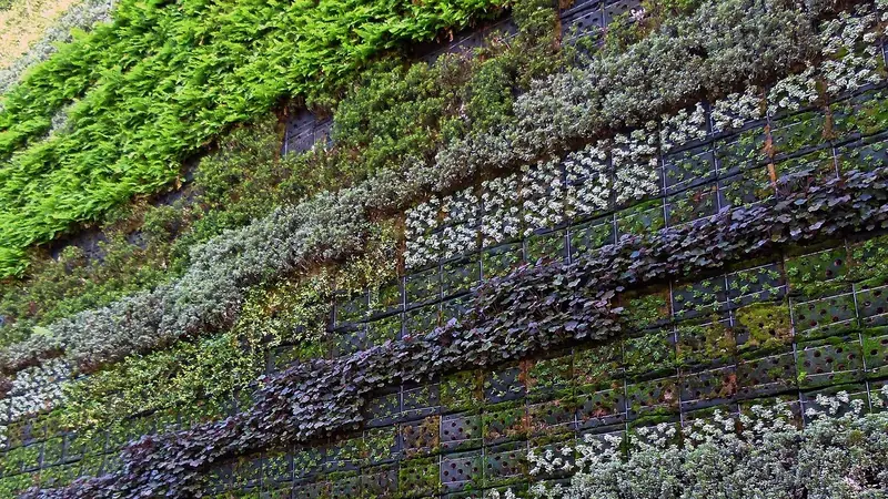 Jardim vertical cobrindo uma parede inteira com faixas de plantas verdes e arroxeadas