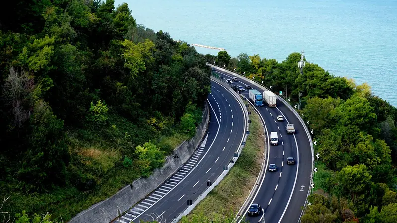 Rodovia em curva com carros e caminhões, cercada por uma faixa densa de árvores