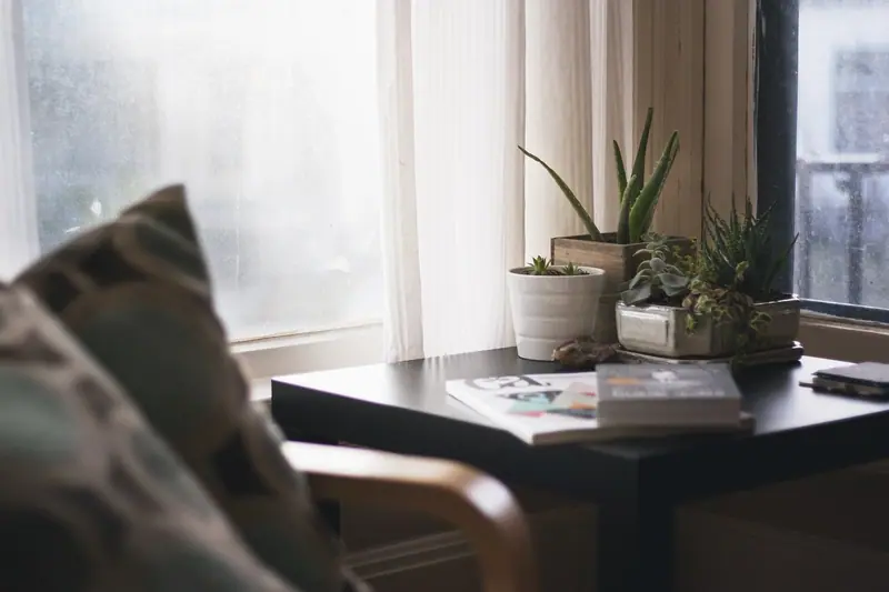 Mesa com vasos de plantas e livros ao lado de uma janela com cortina clara
