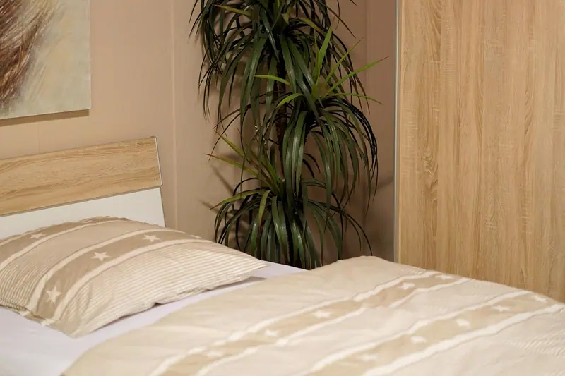 Cama arrumada com roupa de cama clara, cabeceira de madeira e uma planta ao lado