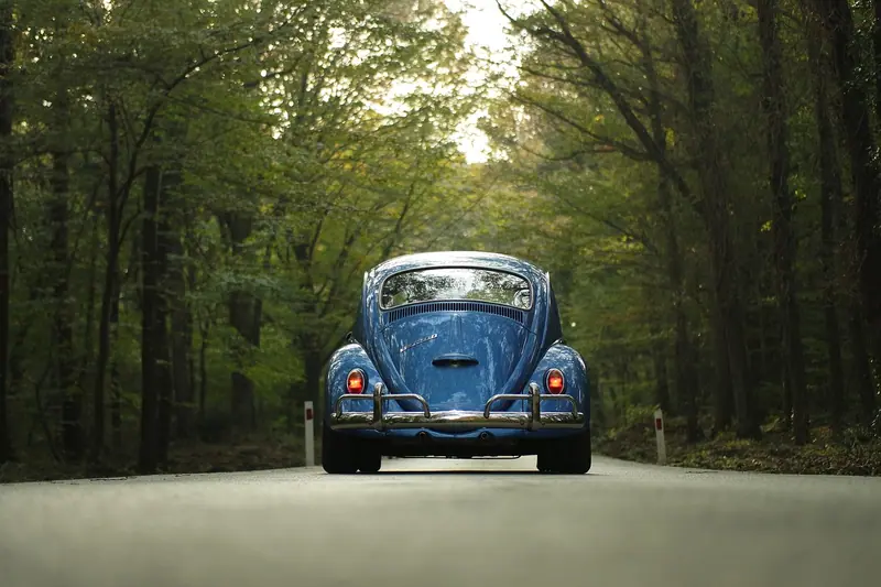 Carro antigo azul visto de trás numa estrada cercada de árvores