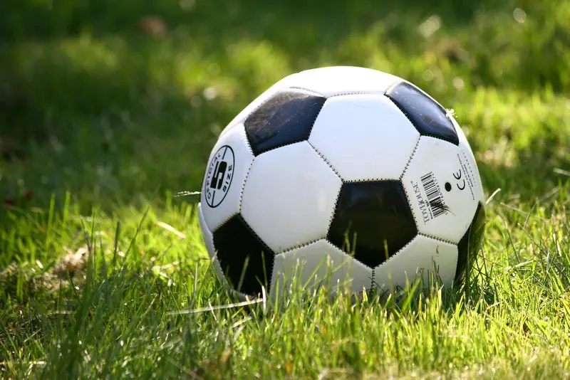 Bola de futebol branca e preta parada na grama